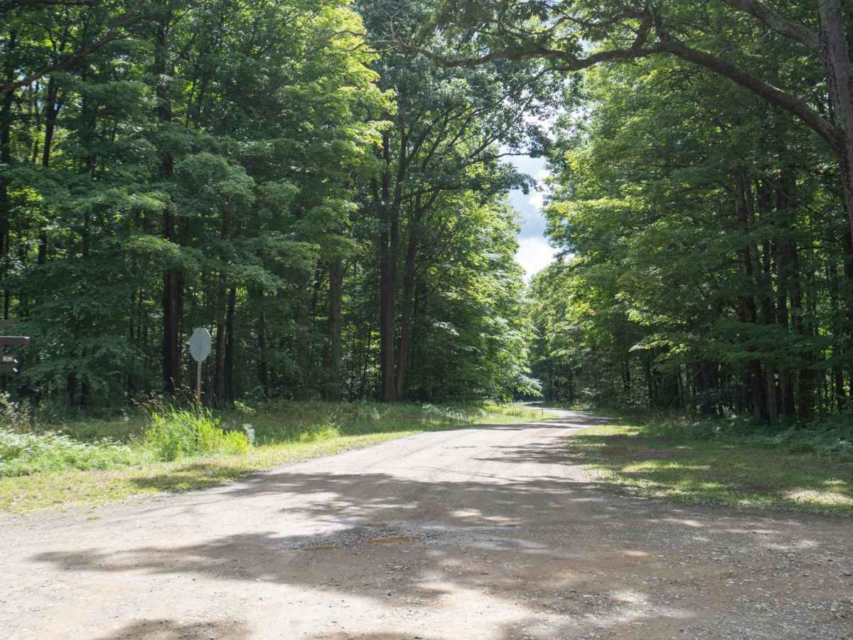 Ridge Run Road photo 2