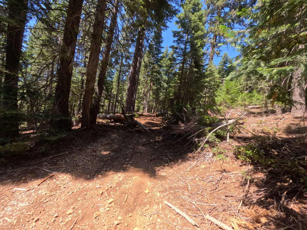 Claycroft Ridge Off-Highway Vehicle Trail - Lower -  FS 11E18 photo 6