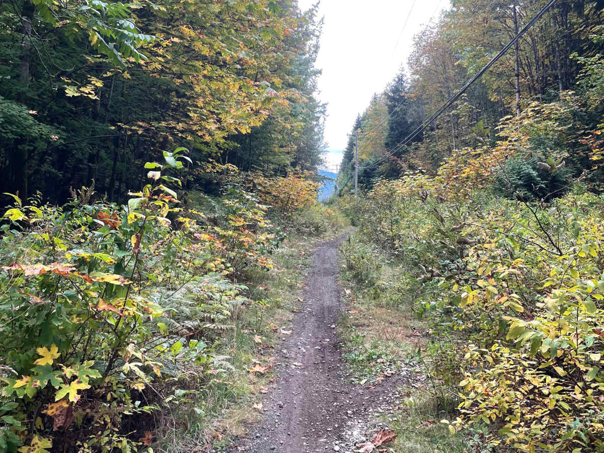 Old Government Road Single Track photo 5