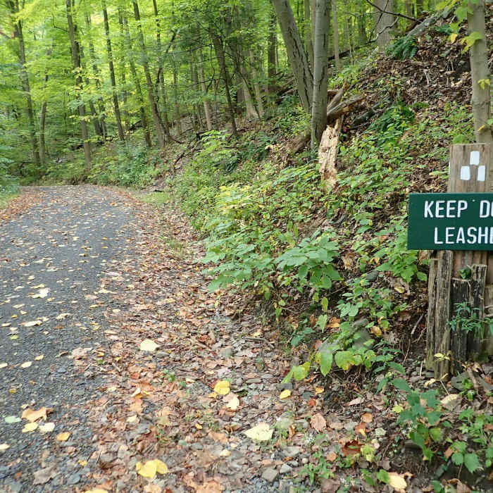 Near Black Rock - Scenic Trail Loop