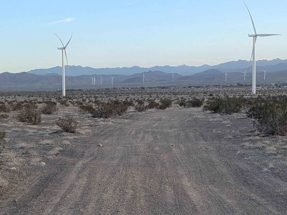BLM 139 photo 3