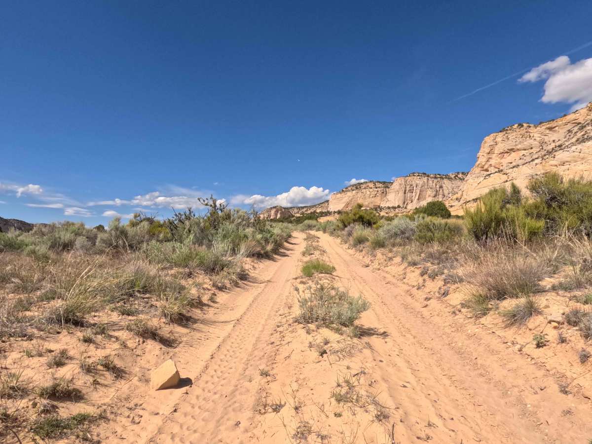 BLM 103N photo 2