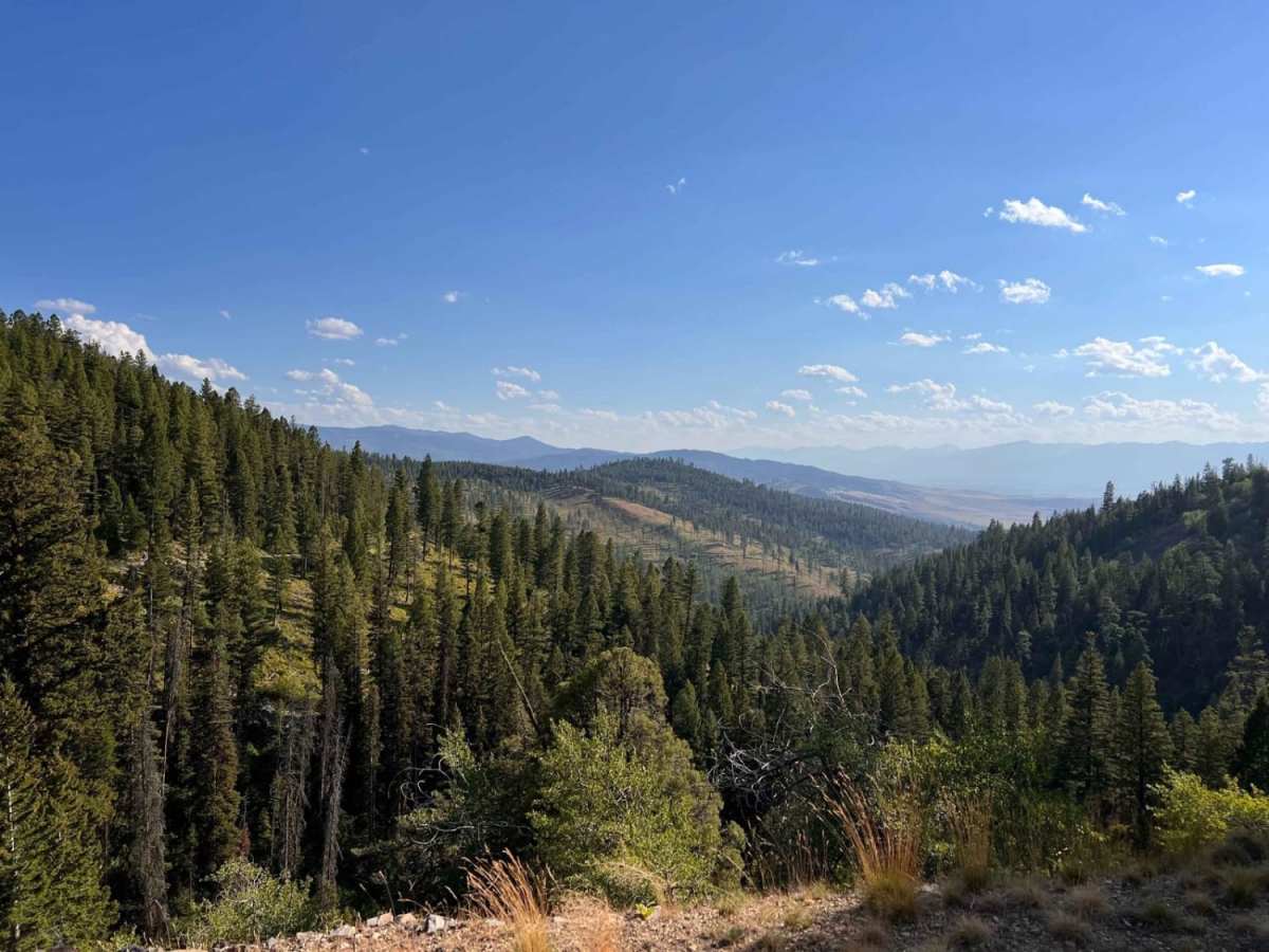 Clairmont trail photo