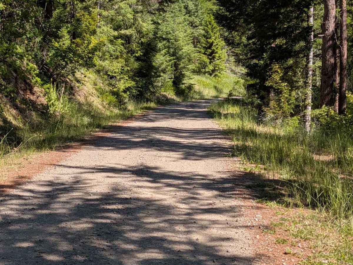 Bald Butte Rd photo 6