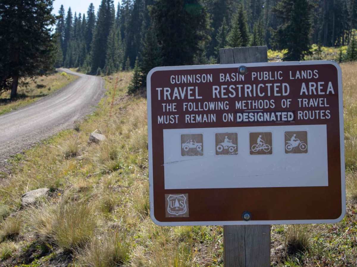 Alpine Plateau Road photo 3