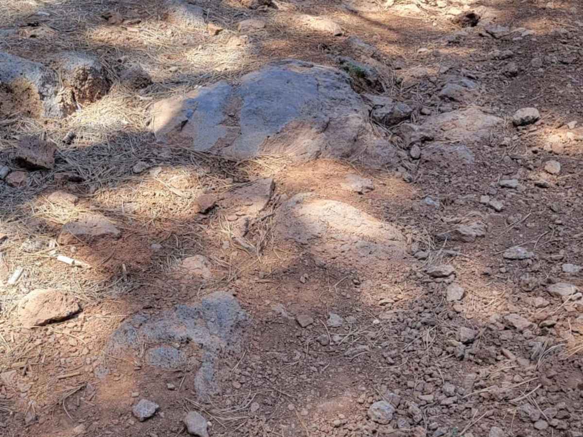 Uinta Loop 3 photo 3