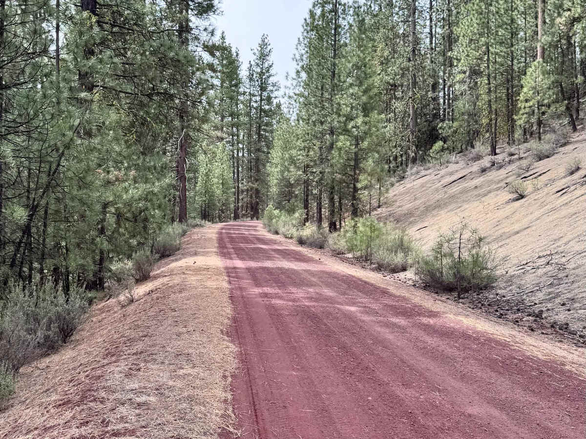 Kirk Road photo 5