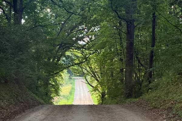 Chambers Trail