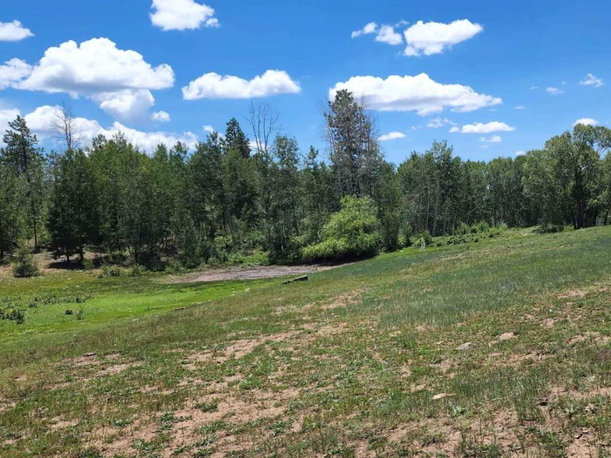Chicken Creek Road photo 6