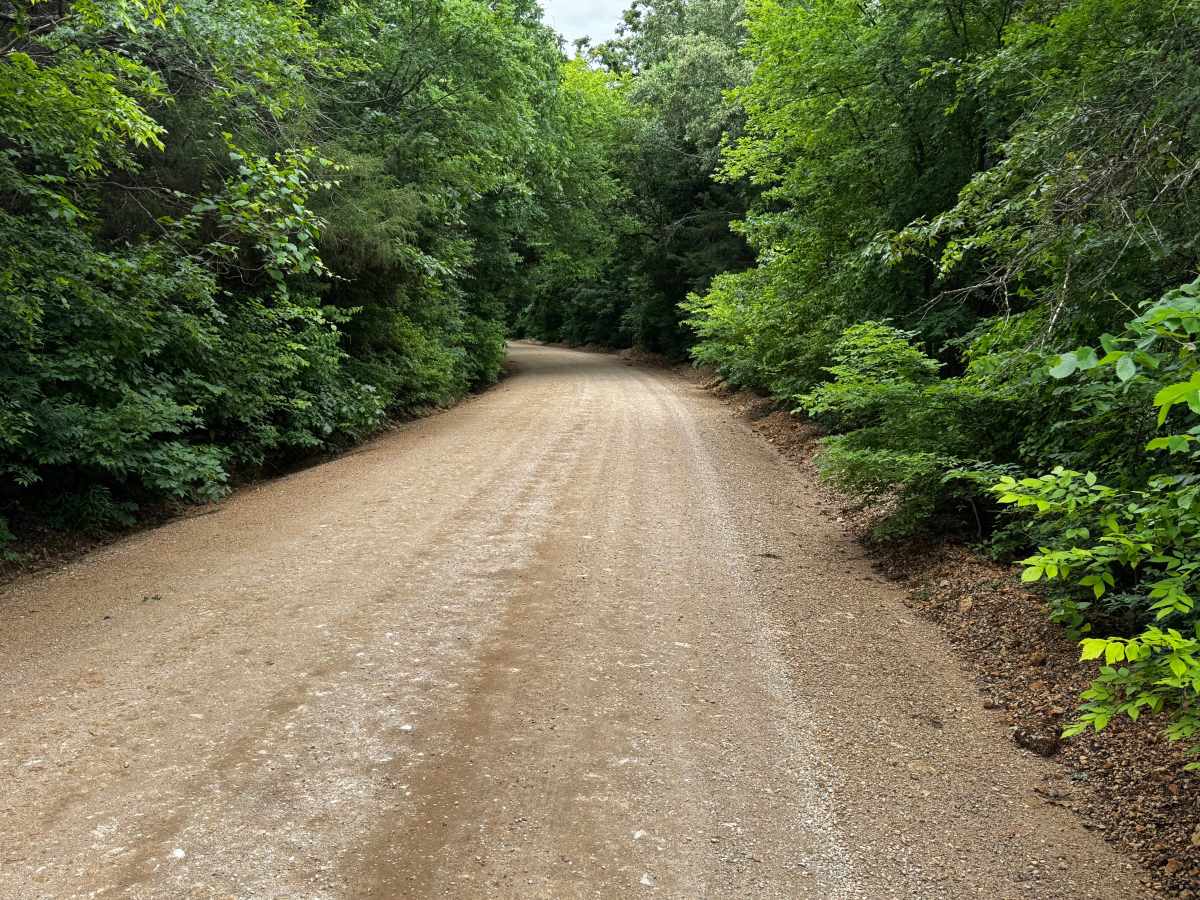 Lawrence road photo 5