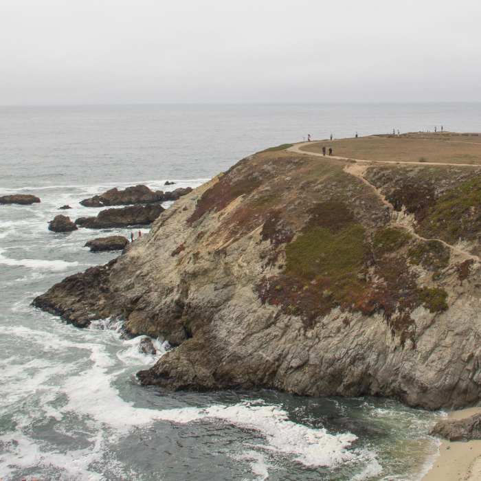 Near Bodega Head Nature Trail