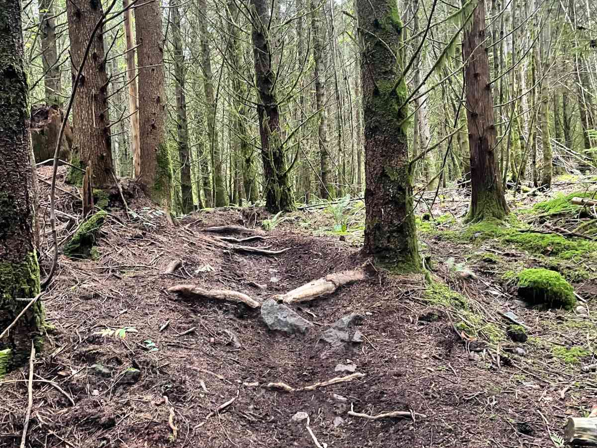 Dirt Church trail photo