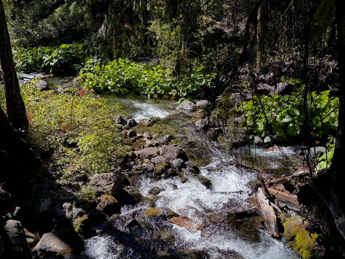Pauley Creek  photo 6