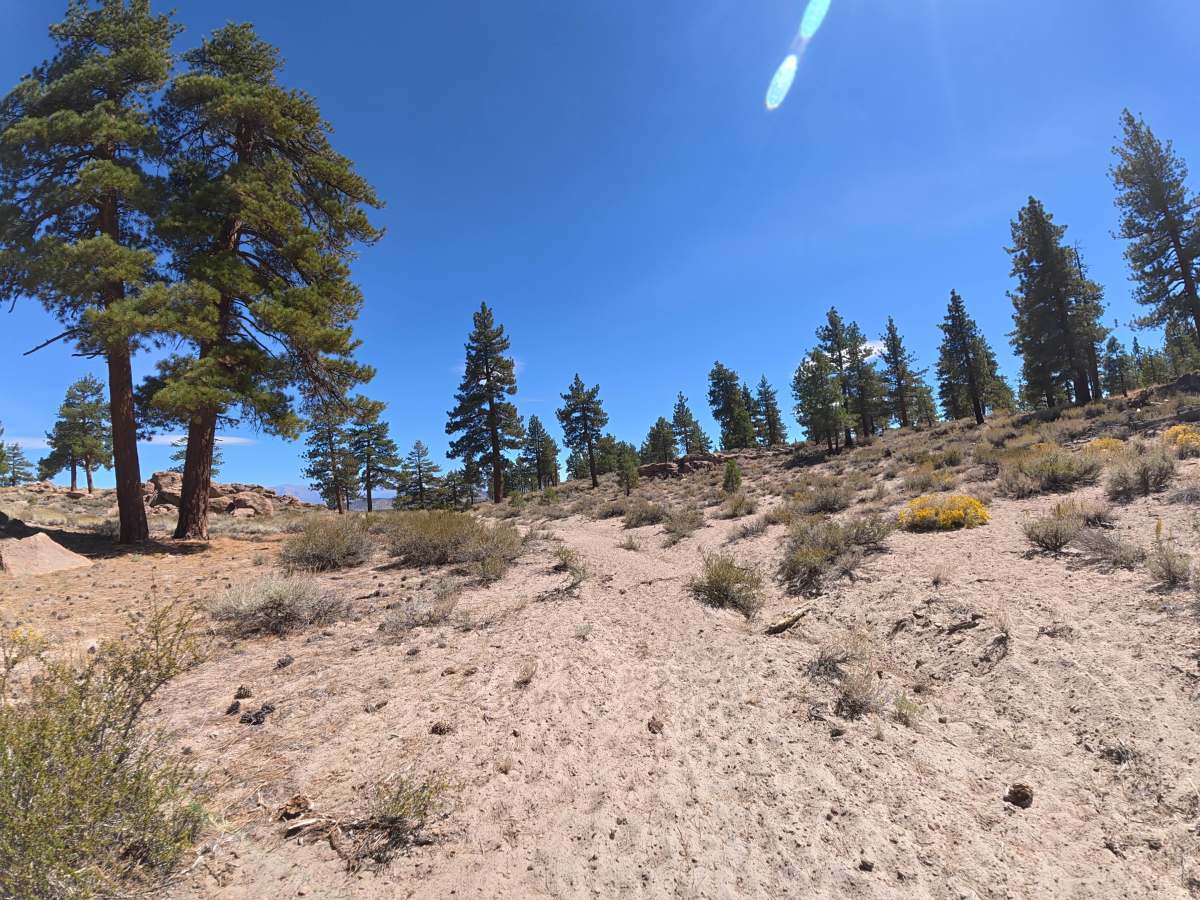 FS 4S55J trail photo