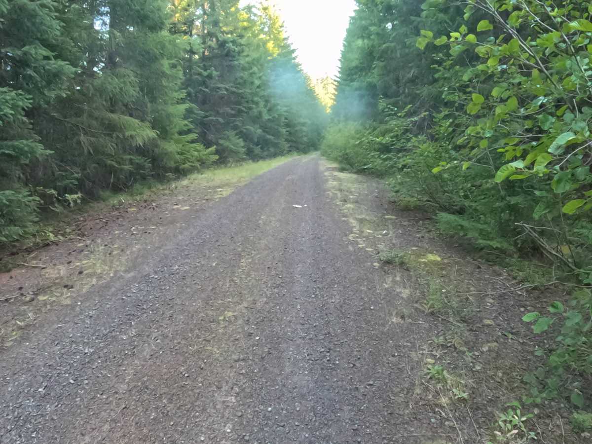 Camp Creek Road - FS 2266-330 photo 3