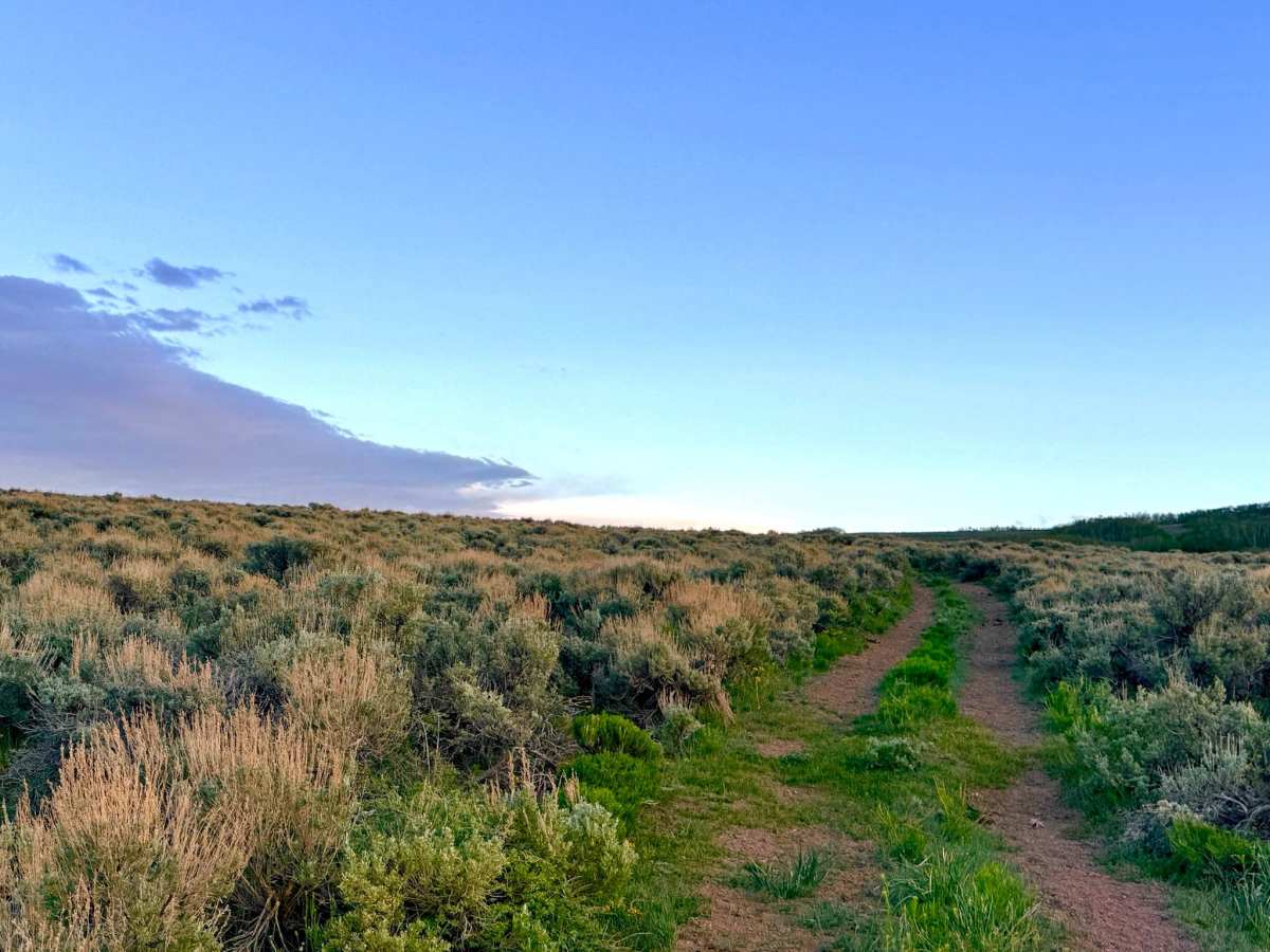 Need A Name - FS 23203 trail photo