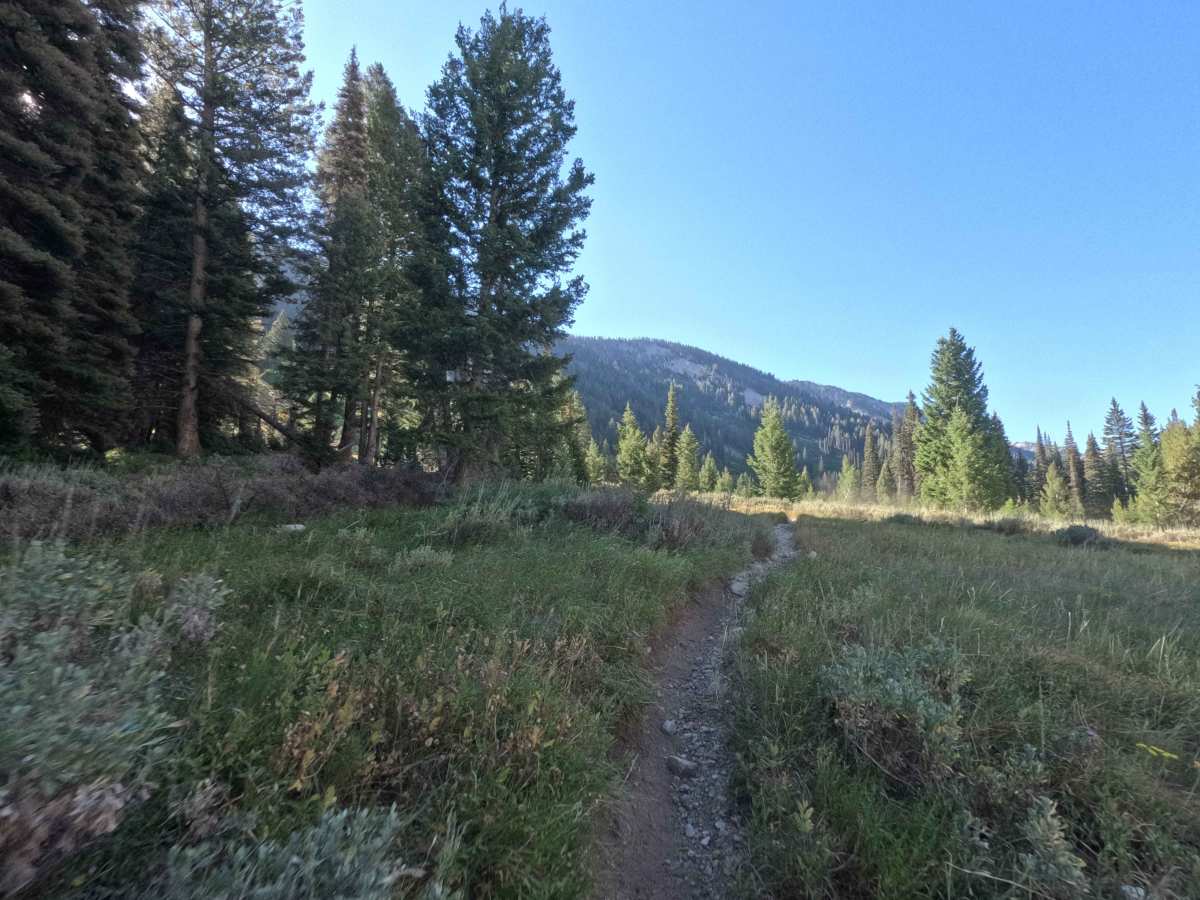 South Fork Ross Fork - FS 7227 photo 5