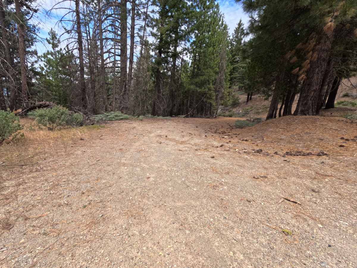 Estell Creek - FS 20N13 photo 2