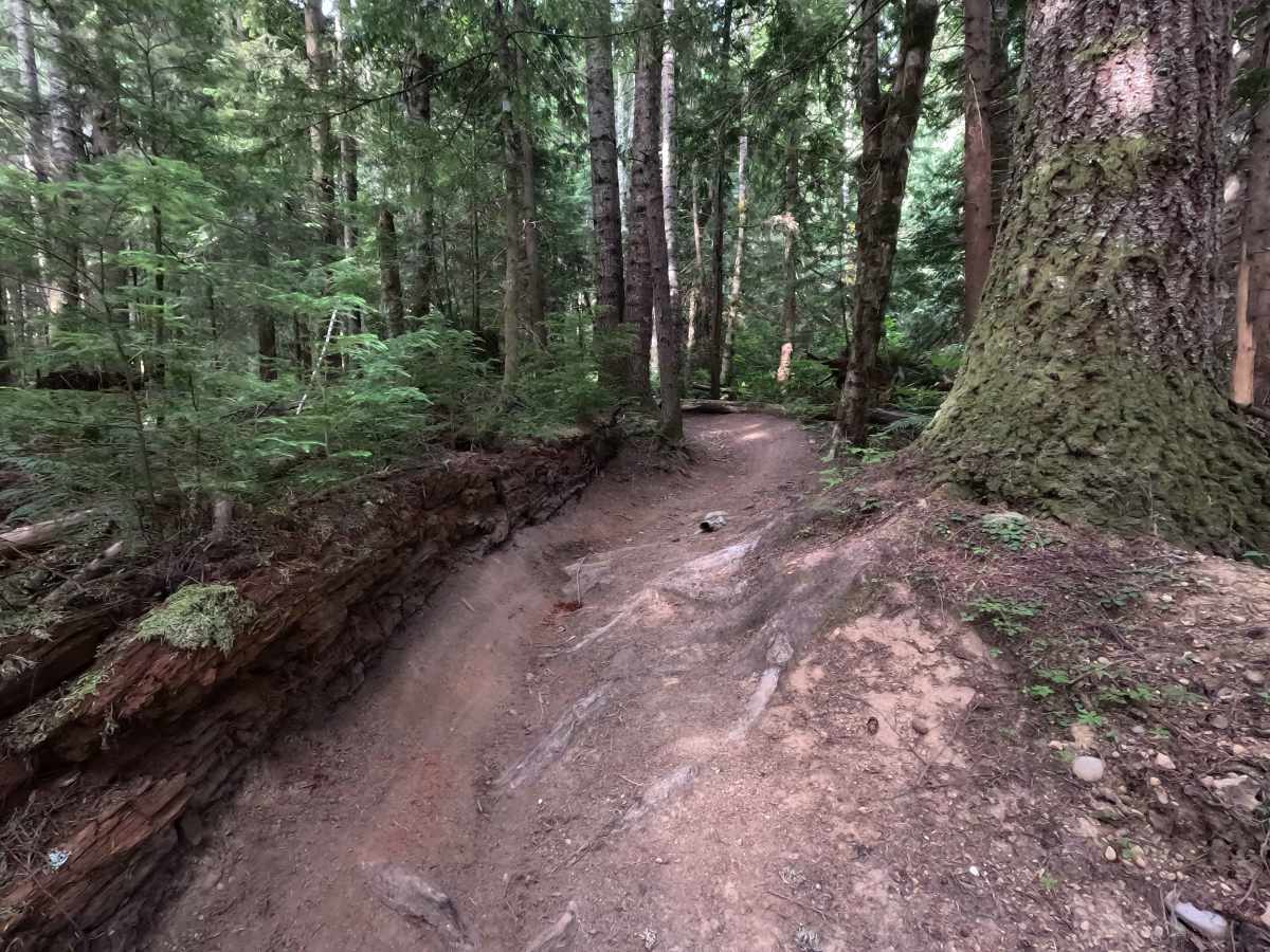 Mount Angeles Connector photo 2