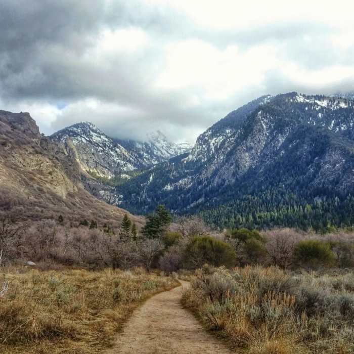 Near Bells Canyon Trail