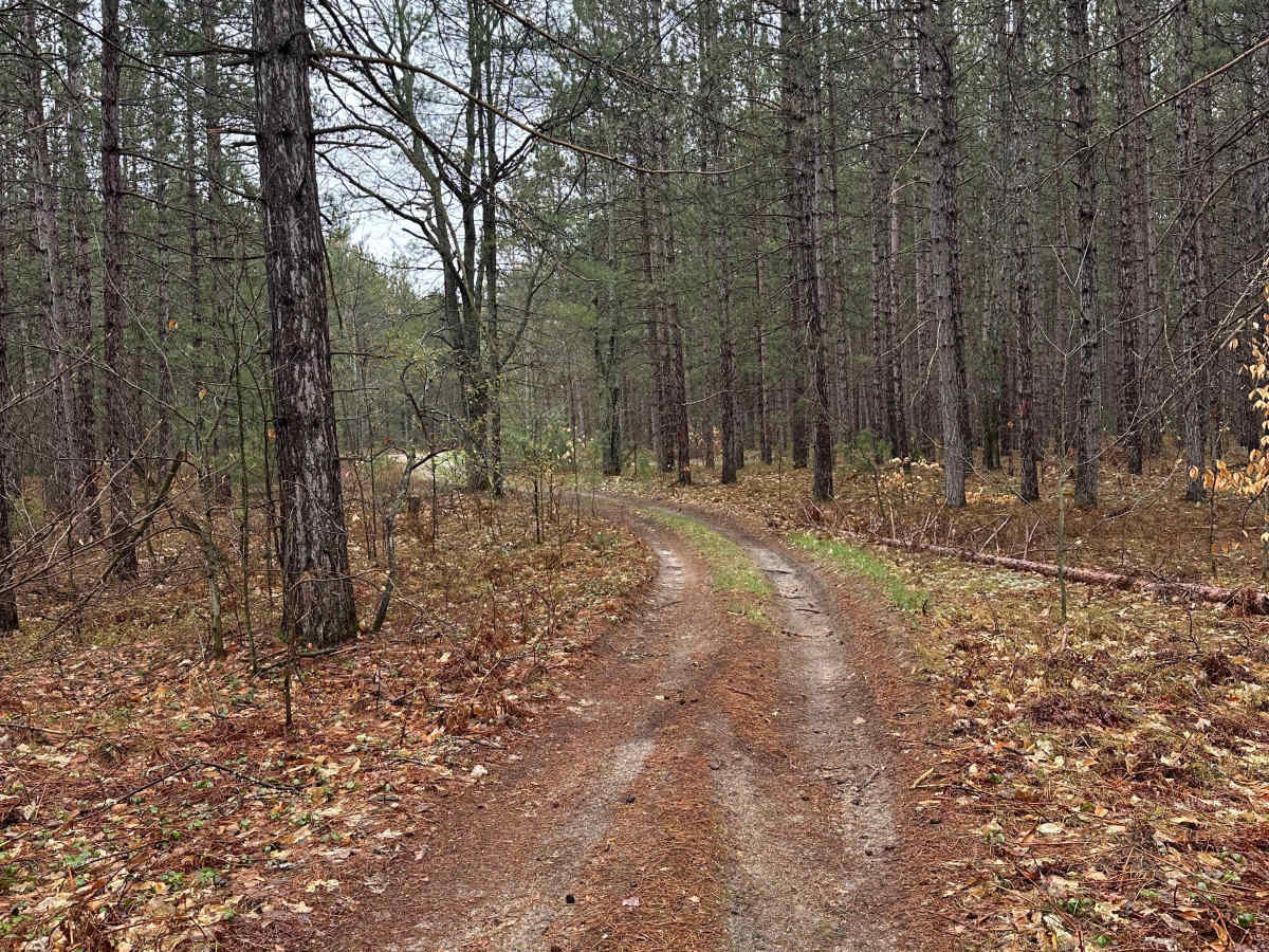 Kolke Creek Trail photo 2