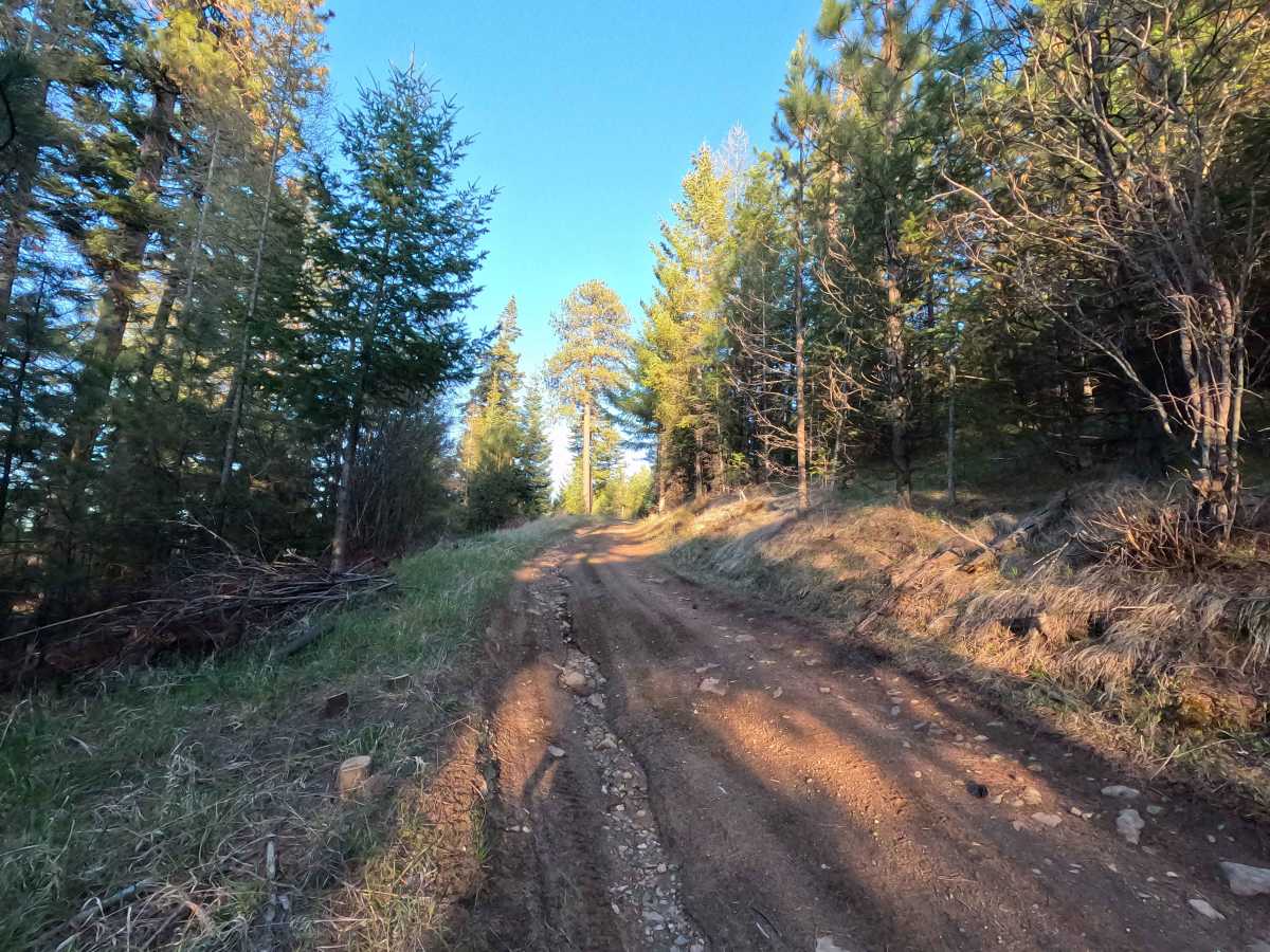 Madison Butte Lookout - FS 2119033 photo 5