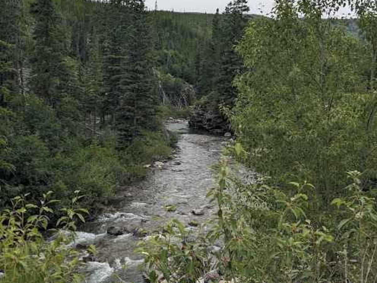 Lynx creek road photo 5