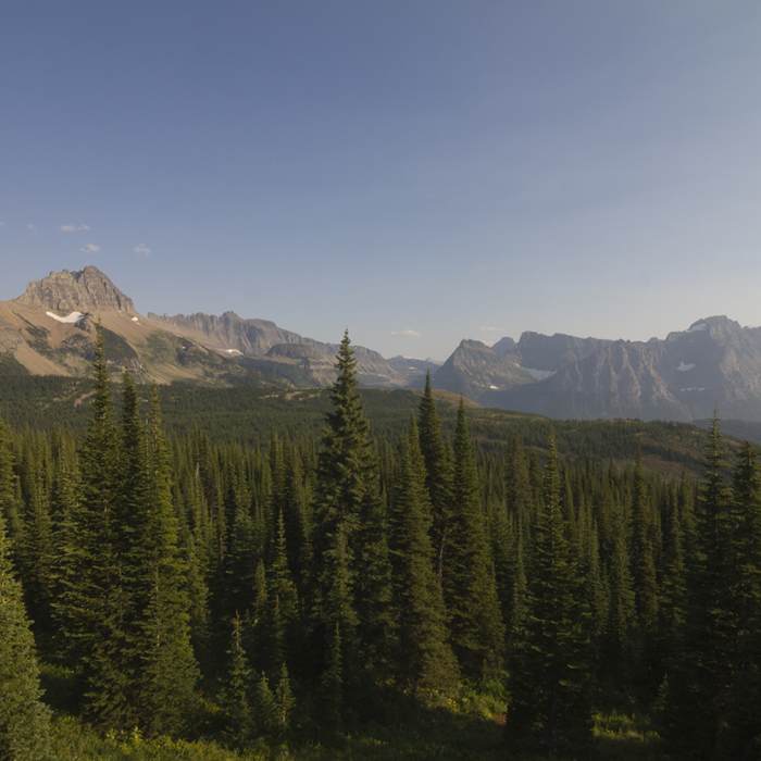 Near Highline to The Loop