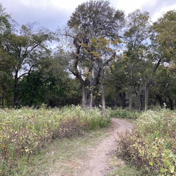 Near Great Blue Heron Loop