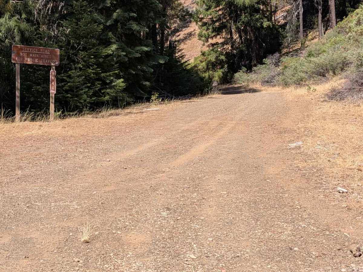 Friend Ranch Road - FS 1N40  photo 2