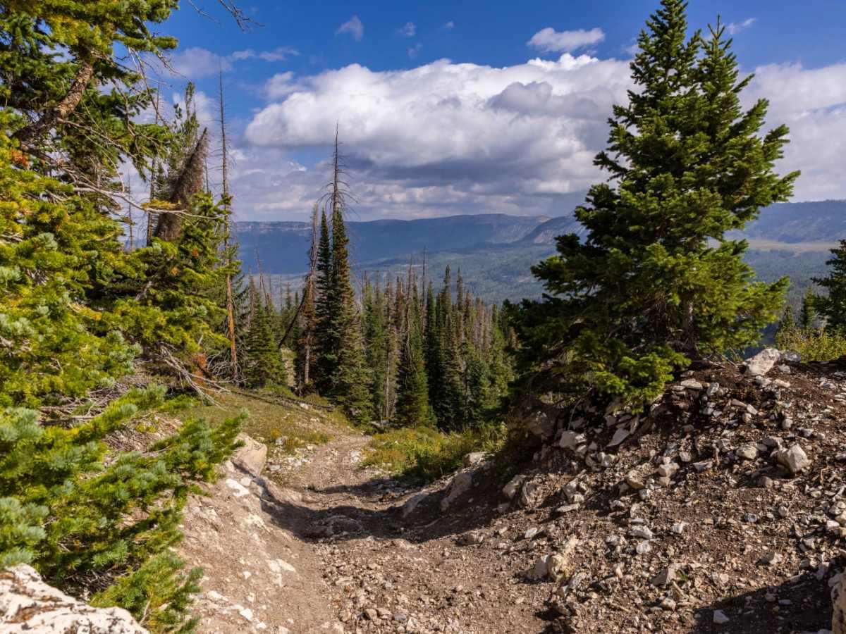 Step Flat Trail photo 5