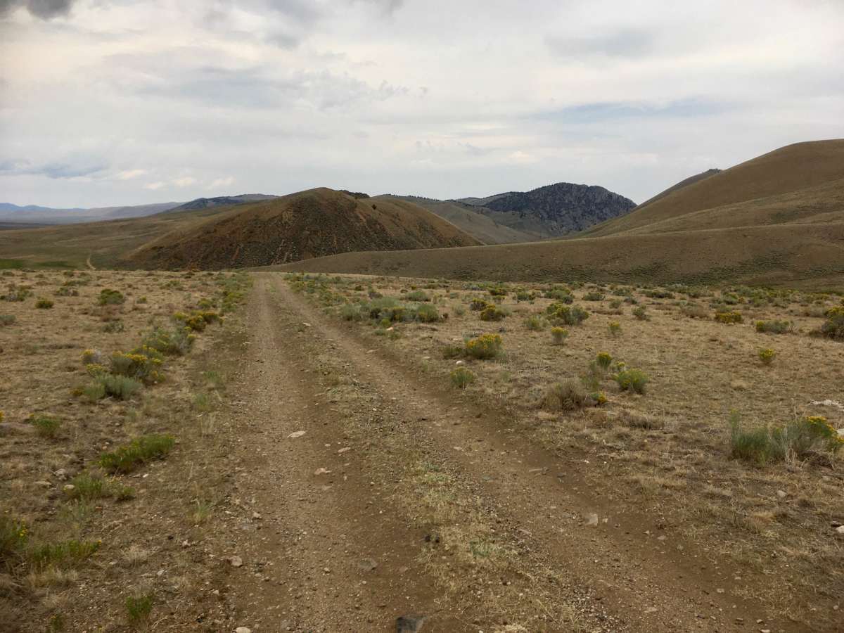 Bannack Pass Road photo 2