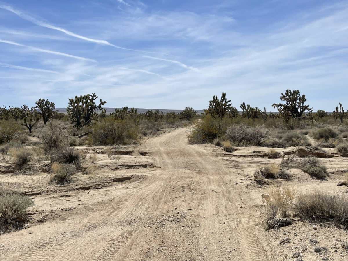 Eastern Zinc Mine Road photo 5