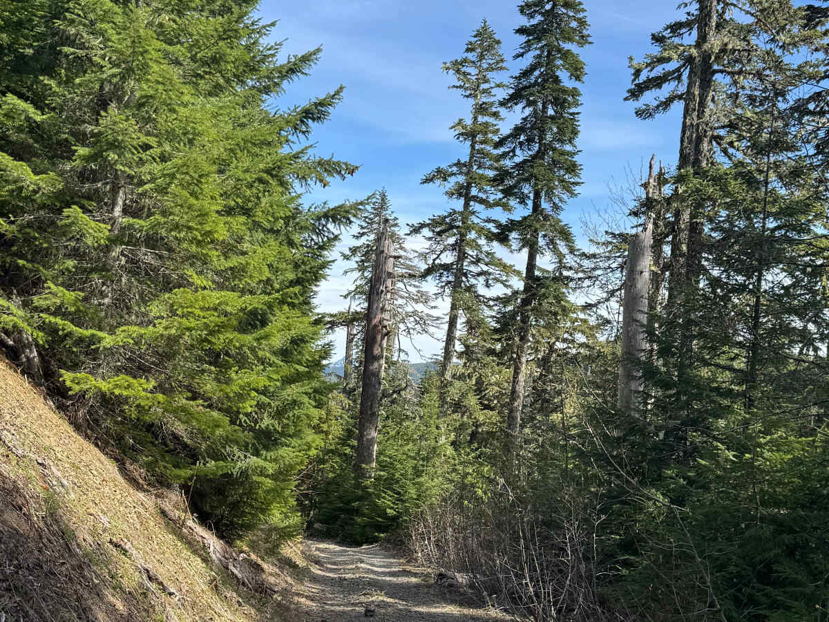 Winston Road- FS 7415 trail photo