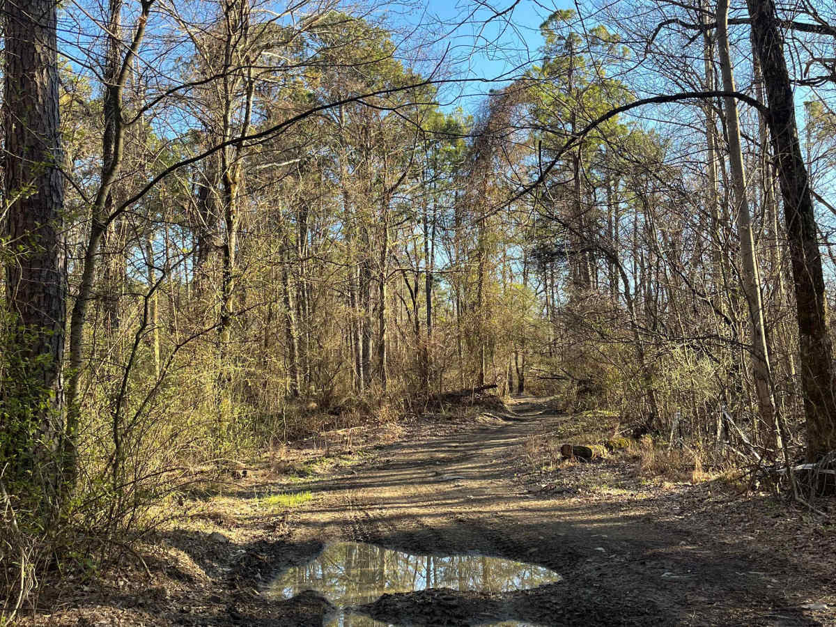 Rolling Hills Trail photo 4