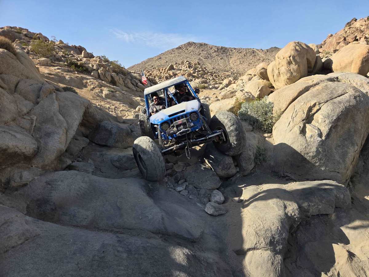 Blueberry trail photo