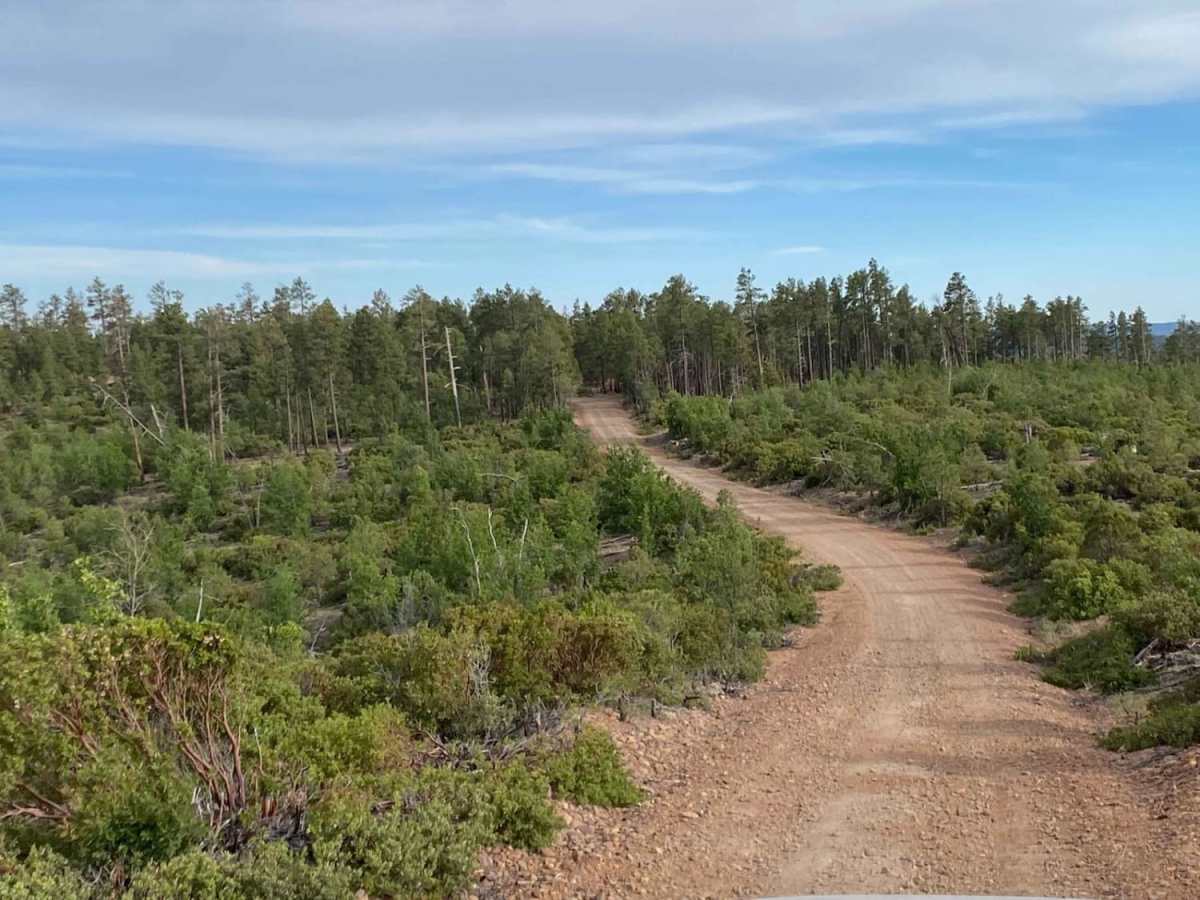 Rim Road East photo 5
