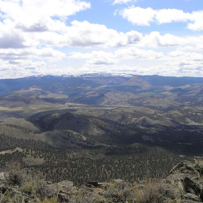 Near Sutton Mountain Trail