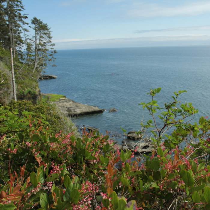 Near Juan de Fuca Marine Trail
