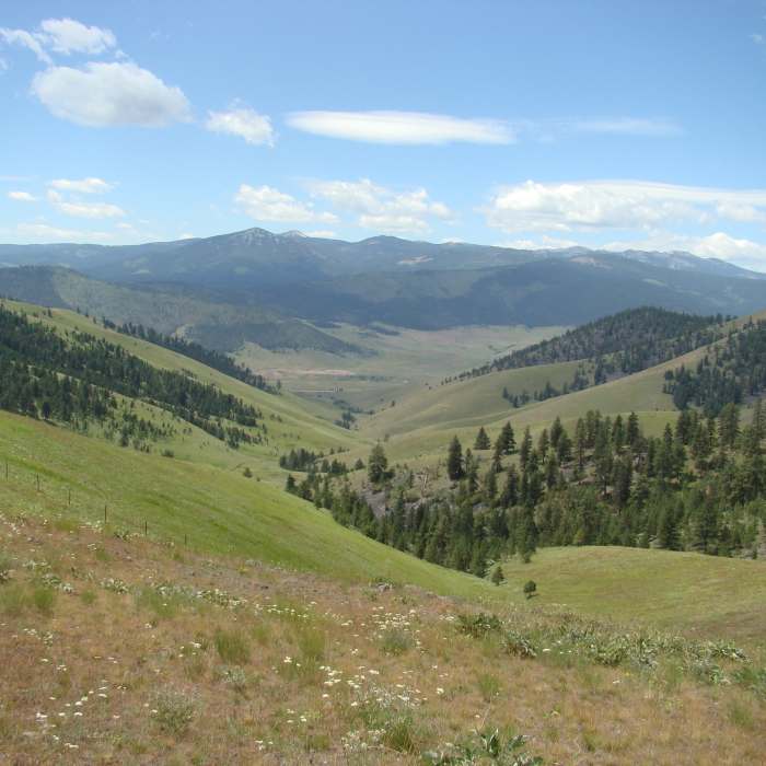 National Bison Range. with permission from Ge Nielissen Near Bitterroot Trail