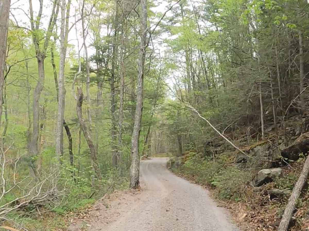 Cove Creek Road photo 4