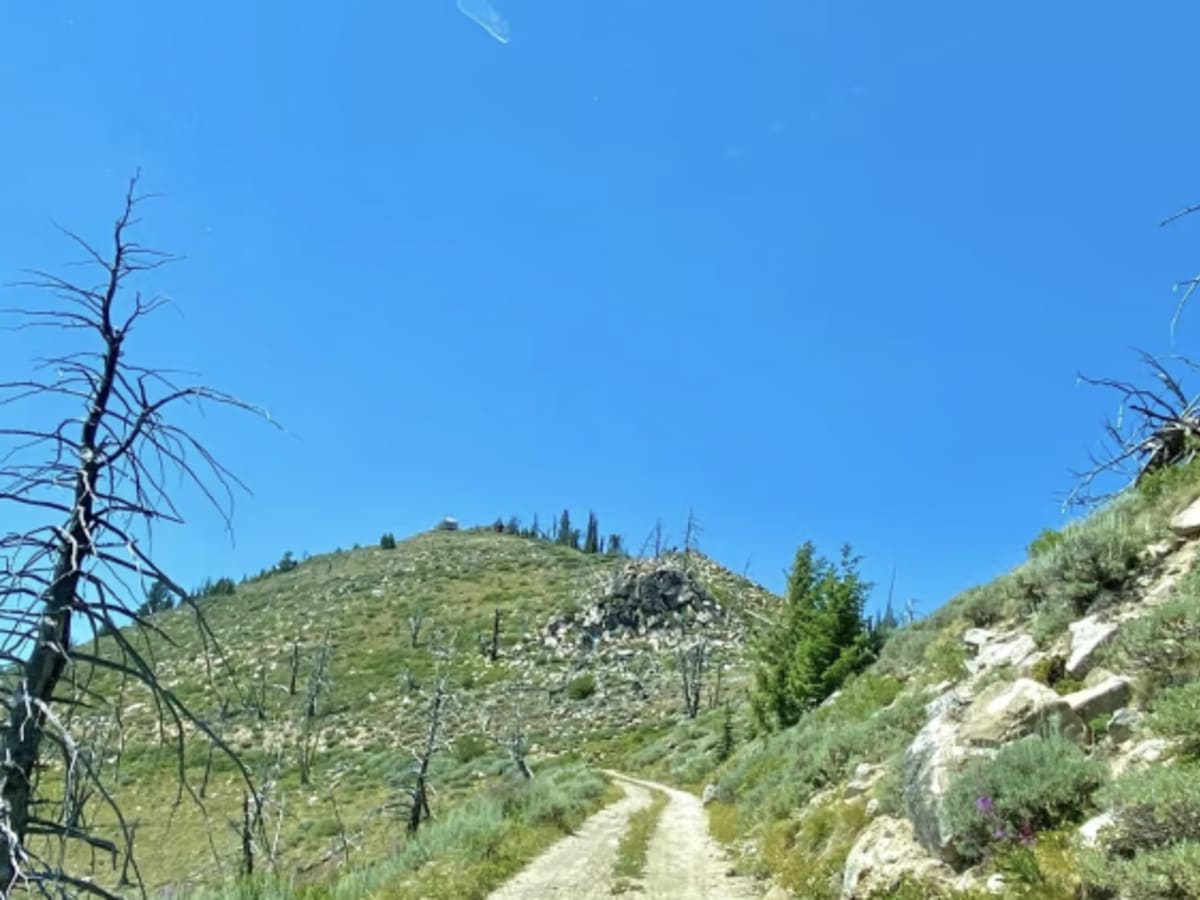 Pilot Peak Lookout Tower photo 6