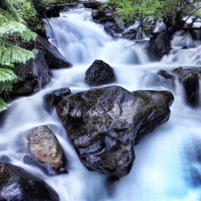 Near Pitkin Creek Trail