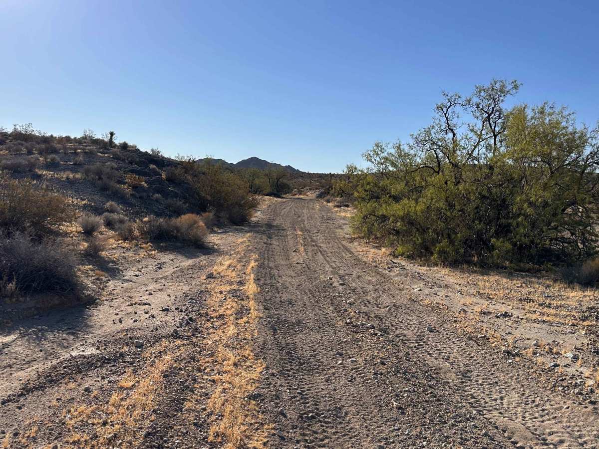 Big Horn Wash photo 3