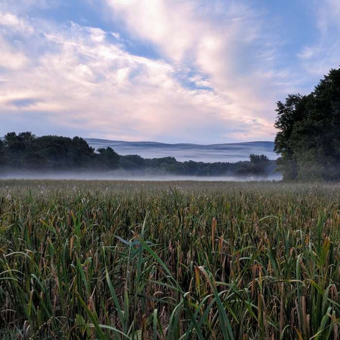 On the Appalachian Trail Boardwalk, enjoy views of Wawayanda Mountain in the distance. Near Pinwheel Vista Out-and-Back