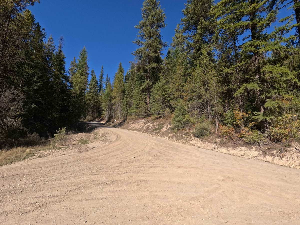 Dahlstrom Meadows - FS 9517300 trail photo