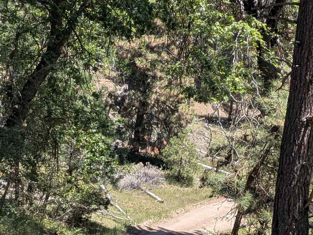 Davis Loop - FS 26S13/26S30 photo 5