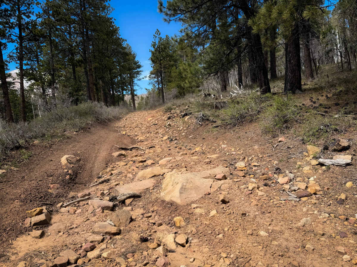 Trail 16 Loop  photo 3
