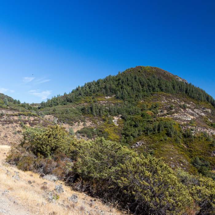 Near Upper Oat Hill Mine Trail