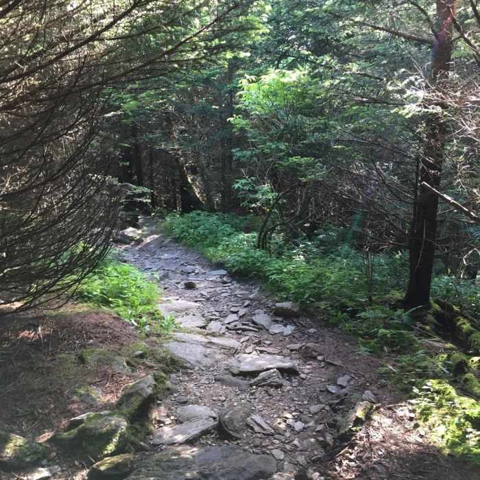 Typical Trail Conditions on Old Mitchell Near Mount Mitchell Vert Marathon